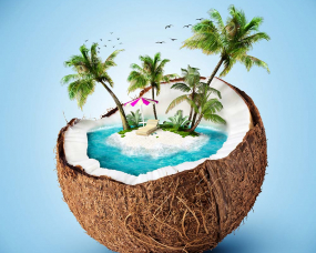 DESIGN ANNUAL 2015